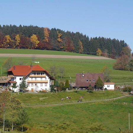 Dischhof Villa Biederbach Bagian luar foto