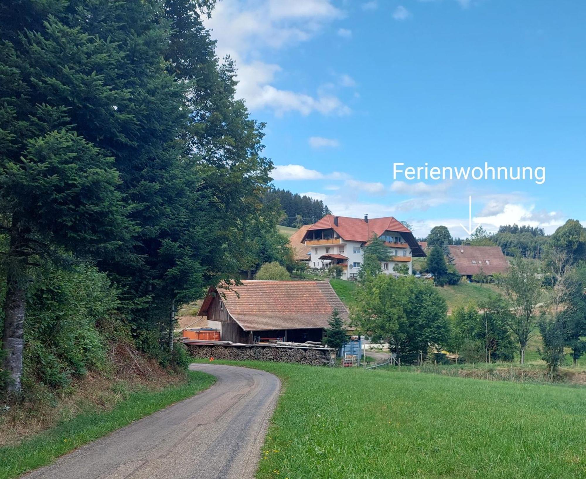 Dischhof Villa Biederbach Bagian luar foto